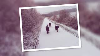 AUTO AWESOME MOVIE 1 20150117 180503