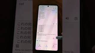 Download Lagu Tocia like🌸 #Short #funny #Cat. #korenami MP3