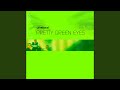 Miniature de la vidéo de la chanson Pretty Green Eyes - Dj Lhasa Edit