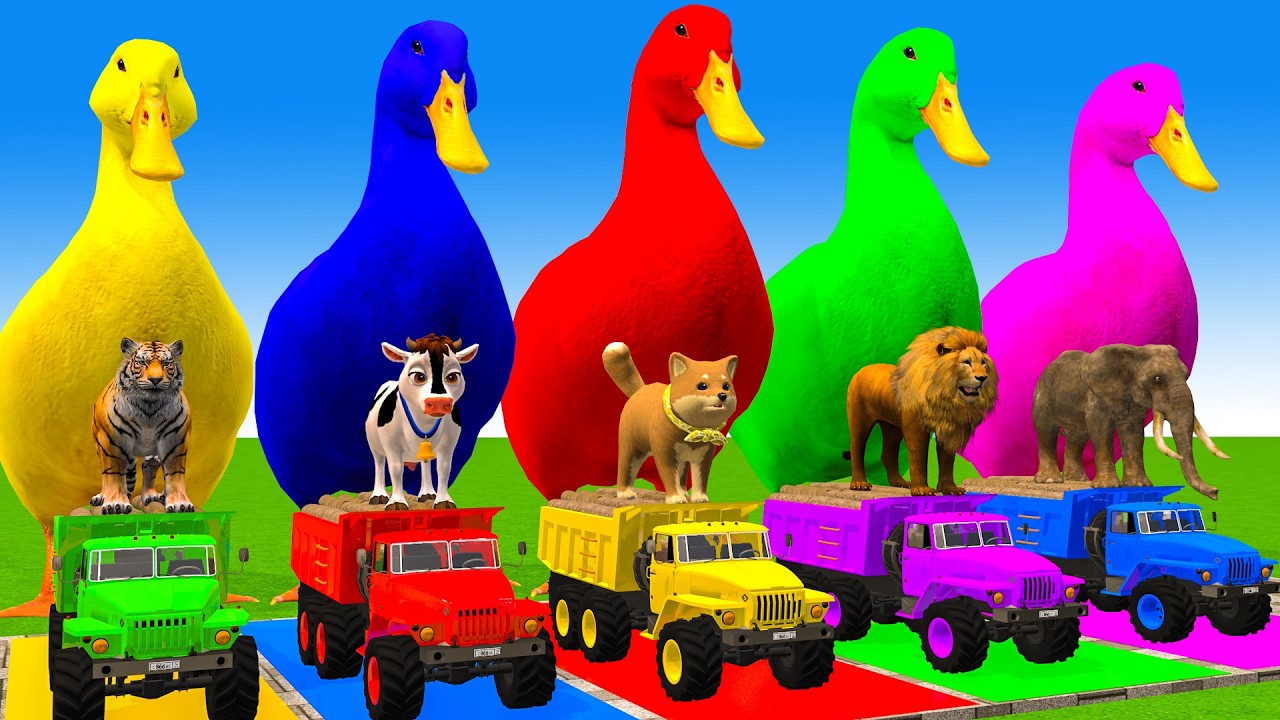 5 Giant Duck Cartoon,Cow,Elephant,Tiger,Lion,Dinosaur,Paint Wild Animals Crossing Fountain Animation