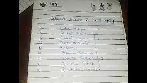 Gluteal Muscles made Easy |mnemonics|