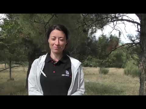 ახალგაზრდები დასუფთავების მსოფლიო დღეს შეუერთდნენ