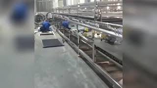 imitation crab stick processing line