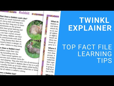 Top Fact File Learning Tips