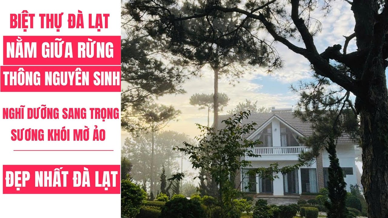 SIÊU PHẨM BIỆT THỰ TRIỆU ĐÔ LỌT THỎM GIỮA RỪNG THÔNG ĐÀ LẠT ĐẸP NHẤT SANG TRỌNG NHẤT