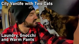 Vanlife with 2 Cats  Meet Stella and Penny | Van Laundry and Cooking...without a Fan?