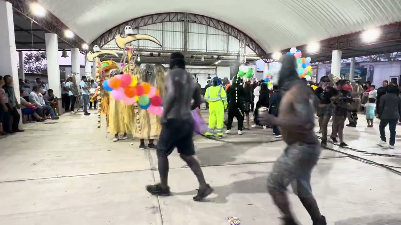 Carnaval Cerro del Plumaje ( 2025 )