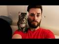 When Kittens Are Being Total Little Humans 😂 Funny Cat and Human