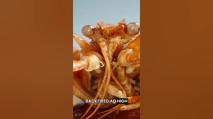 7 Big Box Retailers Closing Down Stores Right Now in 2025 P1 VEED