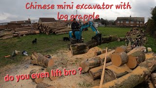 Chinese mini digger lifting logs or can it ? Can you even lift bro ???