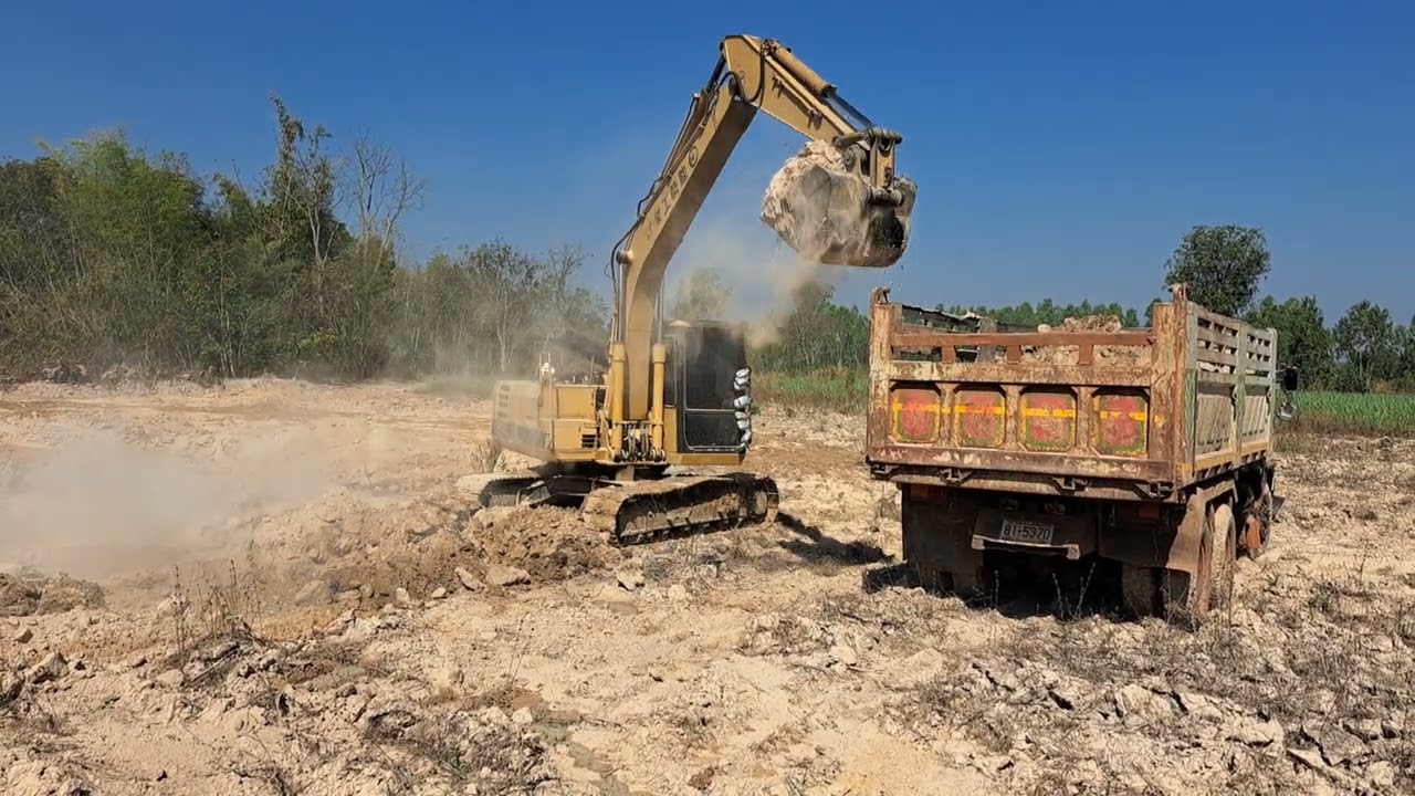 10 มีนาคม ค.ศ. 2026