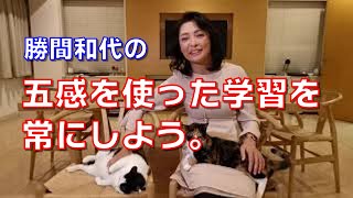 五感を使った学習を常にしよう。試乗や試着が必要な理由。私達は学習をするときについつい視覚と聴覚に頼ってしまいますが、触覚や嗅覚や味覚も大事です。