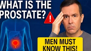 1. What Is the Prostate Most Men Have No Idea!