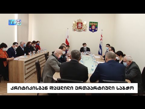 კრიტიკისგან დაცლილი ერთპარტიული საბჭო