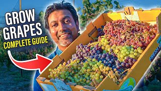 How to GROW GRAPES | Complete Growing Guide