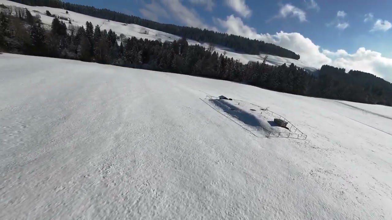 Avata 2,  im Schnee, Wald , ...