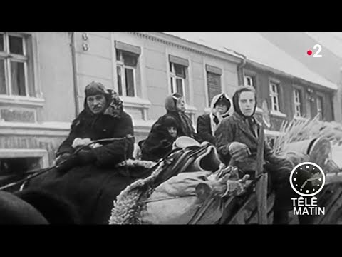 Vidéo: Enfants De La Grande Guerre Patriotique - Vue Alternative