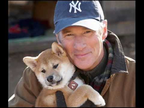 Hachiko - Goodbye (Tribute to Hachiko)