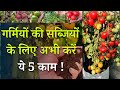 गर्मियों की सब्जियों के लिए अभी कर लें ये 5 काम ! Summer Vegetable Terrace Garden Care Tips In Hindi