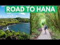 The road to hana 2 day maui road trip with 20 stops