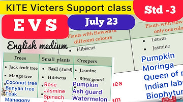 Std 3 EVS Kite Victers English medium support class July 23