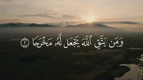 {وَمَنْ يَتَّقِ اللَّهَ يَجْعَلْ لَهُ مَخْرَجًا} القارئ شريف مصطفى