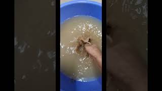 Mini small loading truck Sastissfying mud