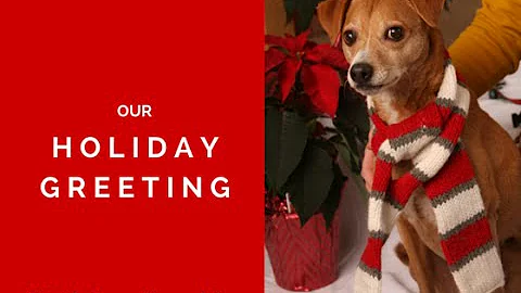Our holiday greeting, including Grace's tips for a...