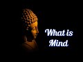 What is mind  motivational status  buddha quotes  mind quotes