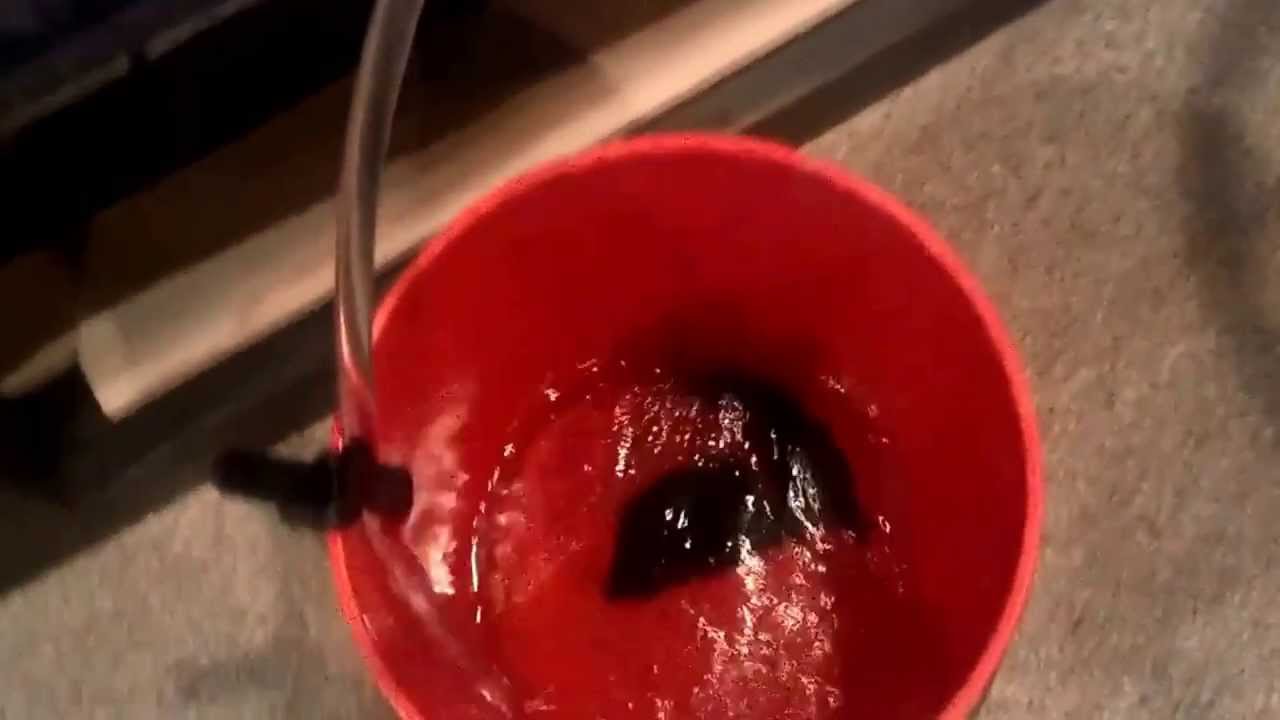 Deep Cleaning Sand Substrates YouTube