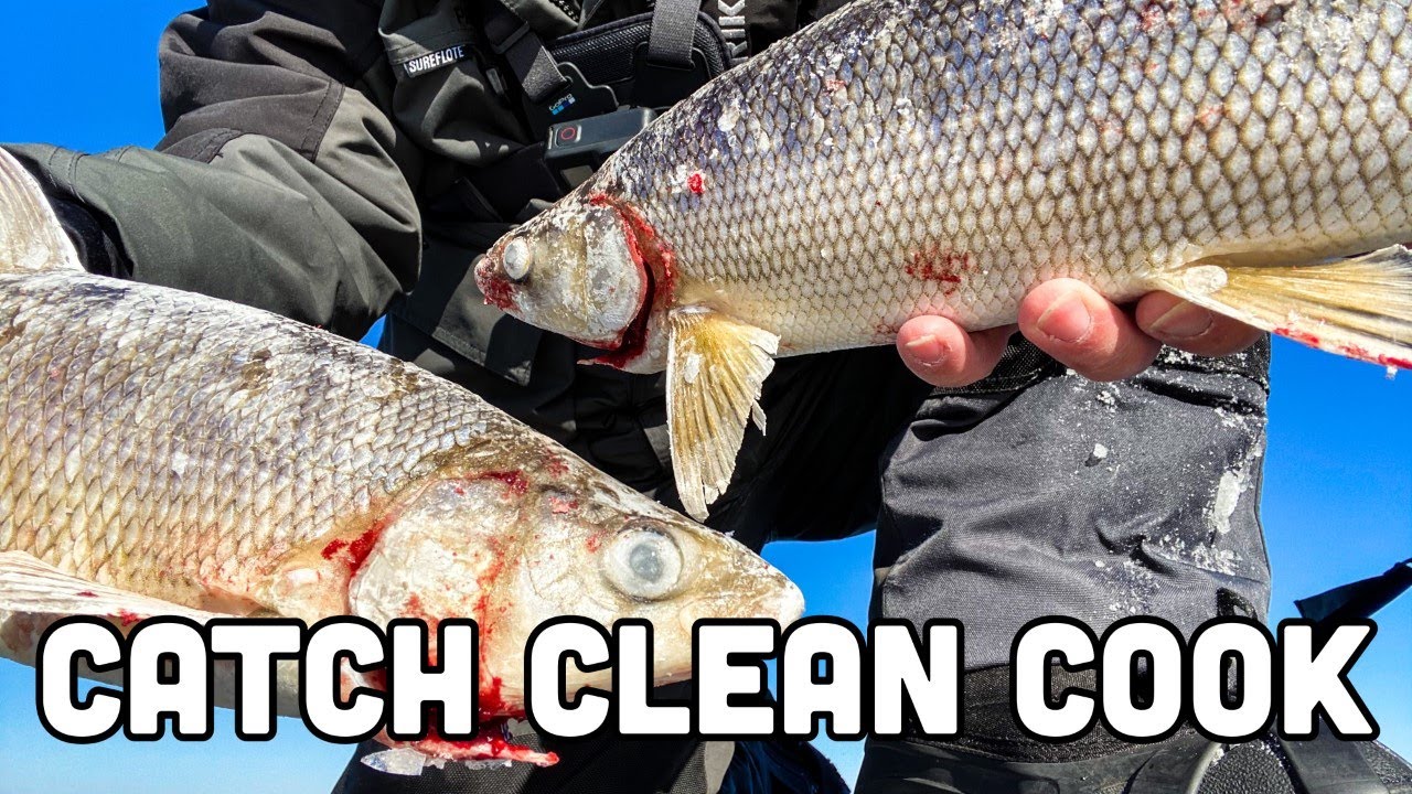 Ice Fishing Green Bay Whitefish 2021 {Catch Clean Cook} YouTube