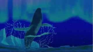 Video thumbnail of "MOBY DICK - Banco Del Mutuo Soccorso -"