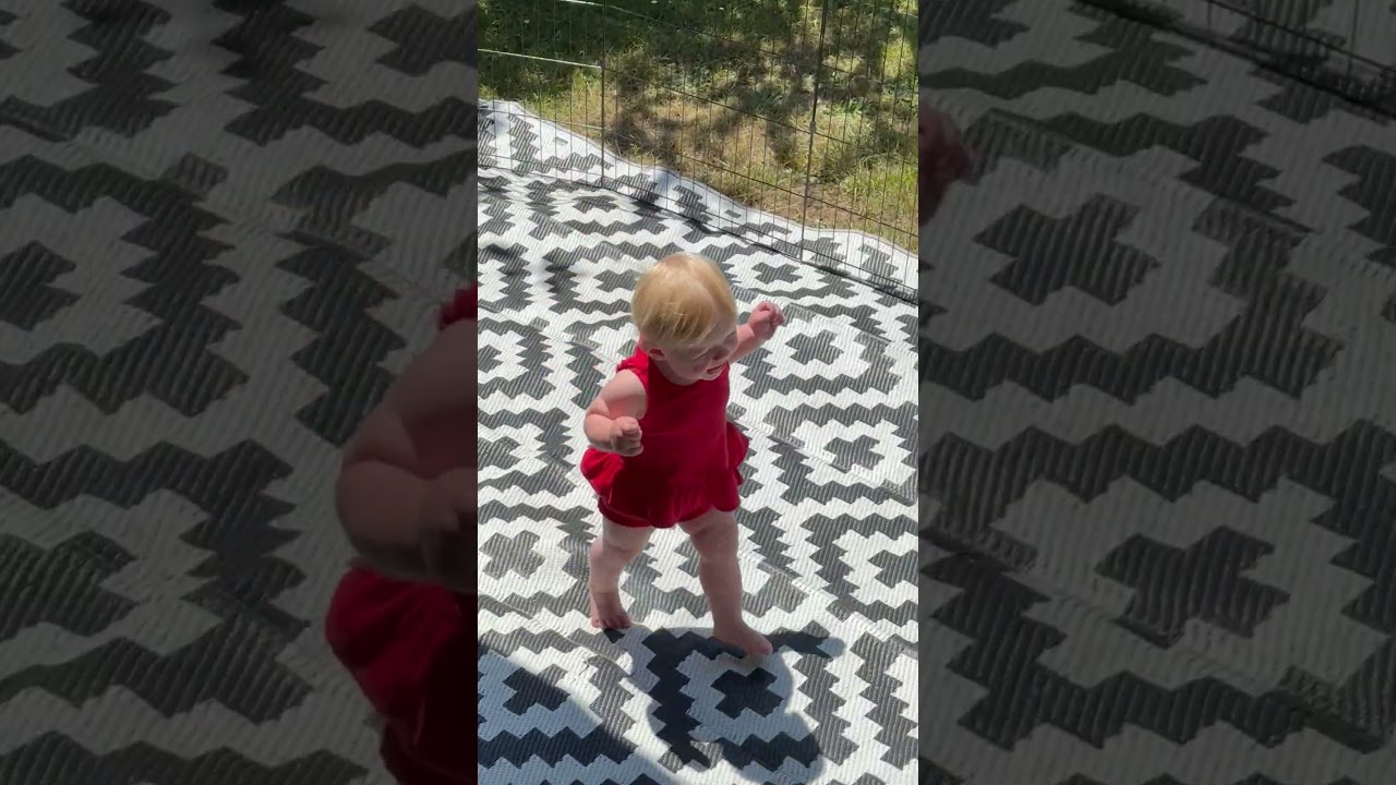 Baby girl in red dress walks around then dog crashes into he causing he to fall