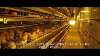 Farmrob | Automatic Egg Collection System