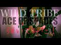 WILD TRIBE/ACE OF SPADES【弾いてみた】
