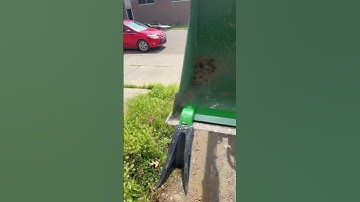 Tooth bar on 2038r bucket