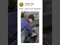 Feeding Time With One of the Biggest Fish I’ve Seen