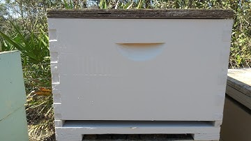 How to Build and Assemble a Langstroth Hive CHEAP!