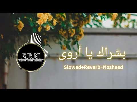 بشراك يا أروى Slowed Reverb Nasheed No Copyright Nasheed SRN Release