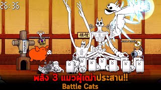 พลัง 3 แมวผู้เฒ่าประสาน Battle Cats