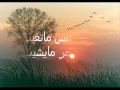 اية ياسرب الحمام 