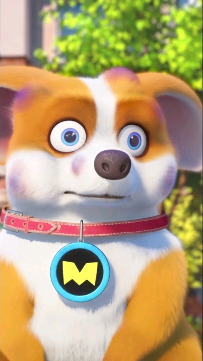 Moco dog cartoon | I will cover you @aifaykids #shorts #viral #funny