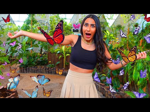 فاجأتها ب 1000 فراشة ملو نة خاااافت