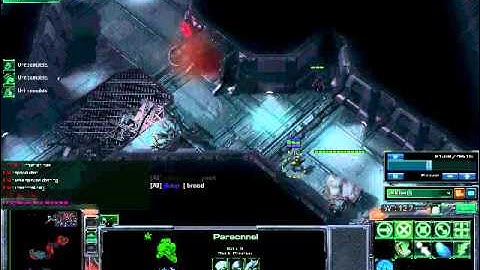 Malum Ruina Highlights