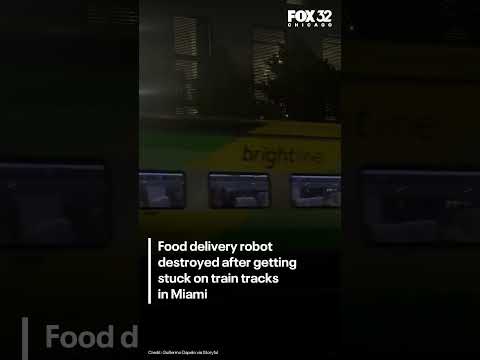 Miami Food Delivery Robot Train