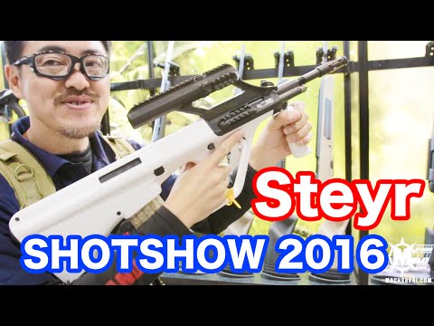 STEYRAUG アーミー・ユニバーサル・ゲヴェール ステアーAUGについて