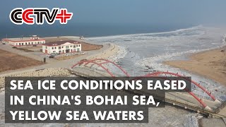 Sea Ice Conditions Eased In North Chinas Bohai Sea, Yellow Sea Waters