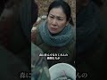 クマの駆除！ #熊 #熊被害 #shorts #クマ被害 #愛護団体 #shortvideo