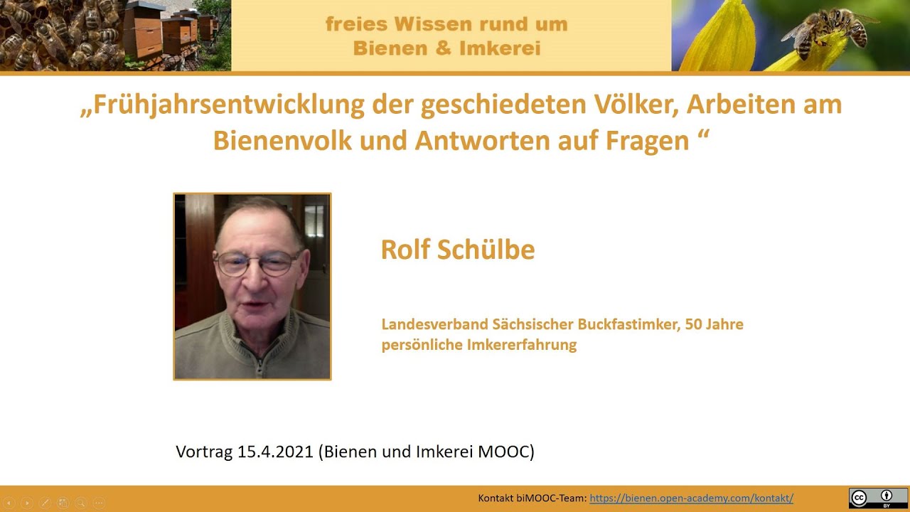 Frühjahrsentwicklung der geschiedeten Völker, Arbeiten am Bienenvolk, Antworten auf Fragen (biMOOC)