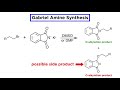 Gabriel Synthesis and Reaction Mechanisms